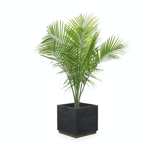 Elysium Outdoor Planter